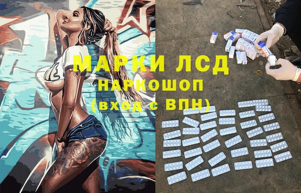 ГАЛЛЮЦИНОГЕННЫЕ ГРИБЫ Балахна