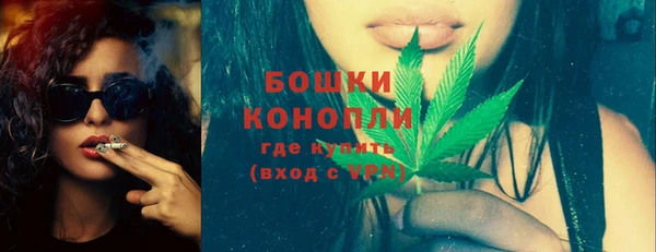 ГАЛЛЮЦИНОГЕННЫЕ ГРИБЫ Балахна