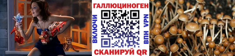 как найти закладки  Нытва  shop состав  Галлюциногенные грибы мицелий 