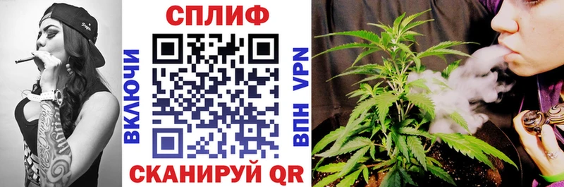 Каннабис планчик  даркнет сайт  Нытва 